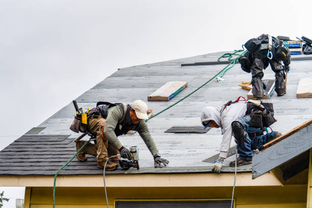 Professional Roof Replacement technician working in Burnside, IA